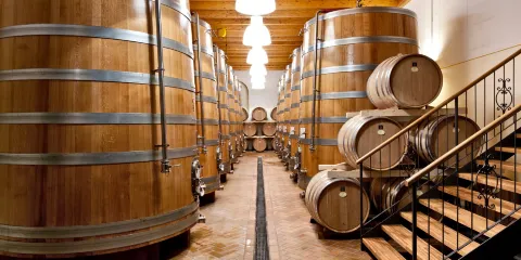 Azienda Agricola Monte Zovo