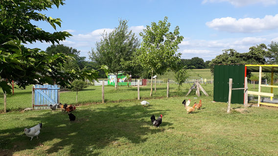 La Petite Ferme de Pouillon