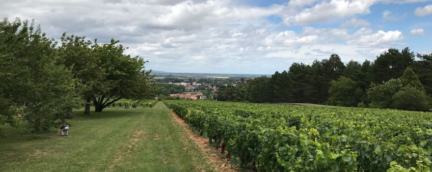 Domaine de la Folie