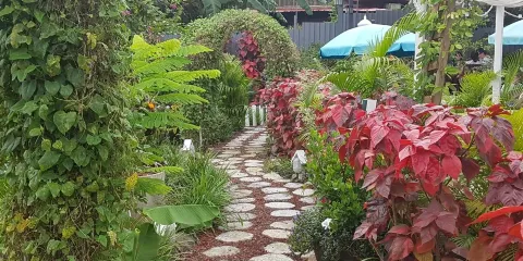 Parque Central De Grecia