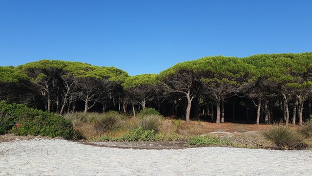 Spiaggia di Matta e Peru