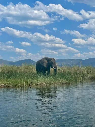 Siavonga