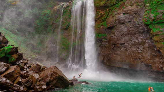 Monkey Ride - Shuttles & Private Rides