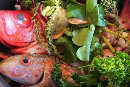 Bon Cote/UMITO LIFE NAKAMA