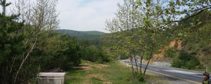 Torhasan Pond