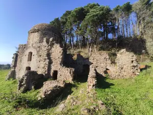 Platano Orientale Millenario Monumentale - Platano di Vrisi
