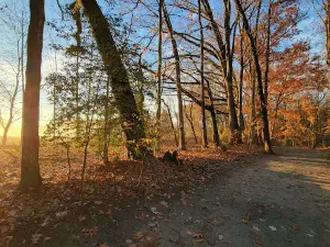 Brecknock County Park