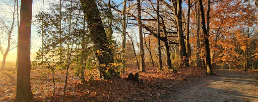 Brecknock County Park