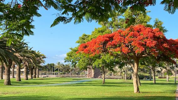 Parque del Sur