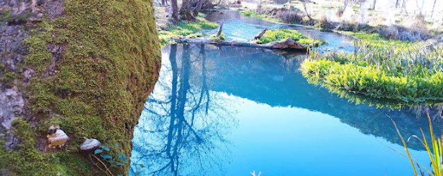 Ladon springs