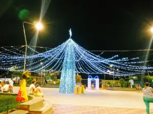 primero de enero Park