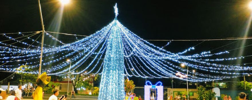 primero de enero Park