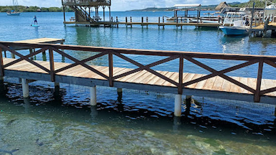 Roatán Iguana Excursions