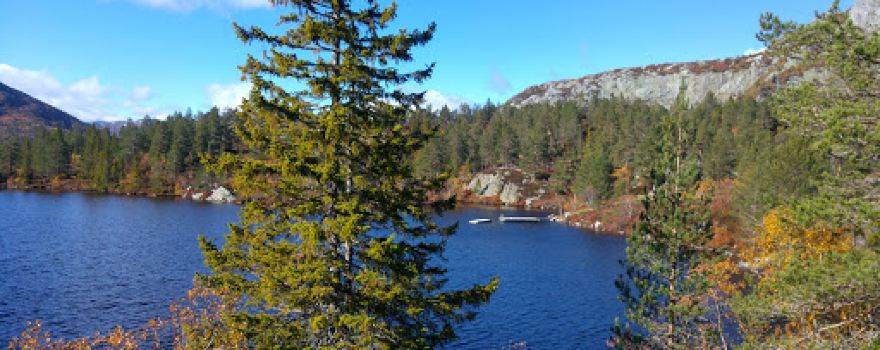 Gavlesjåvegen
