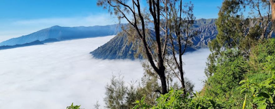 Bromo via Pasuruan
