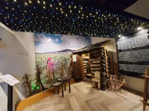 House Museum of Handicrafts Chihuahua State