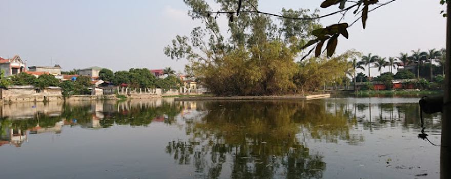 Đảo Cò Làng Ngói
