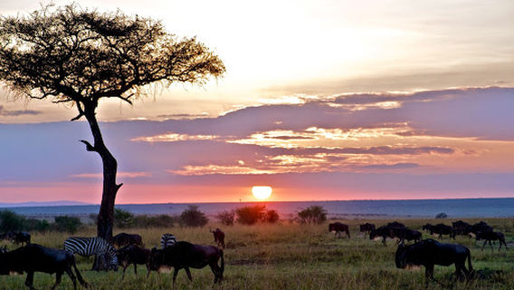 Mara Explorer Tented Camp