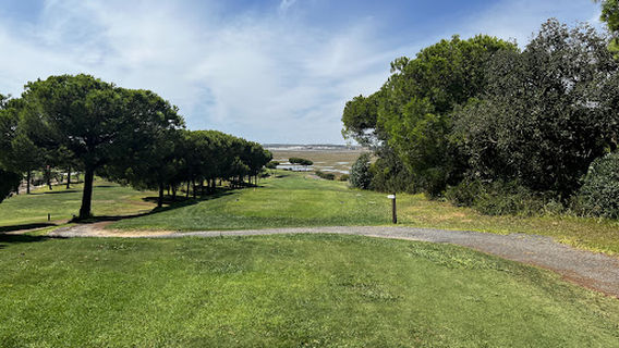 Paraje natural Marismas del Río Piedras y Flecha del Rompido