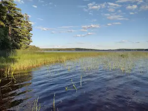 Webb Pond