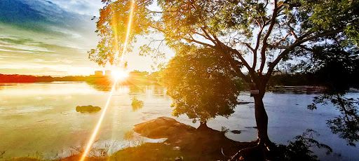 رحلات طيران من ماسايو إلى جي بارانا