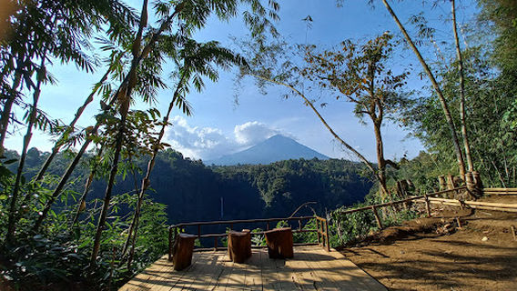 Wisata View Kapas Biru
