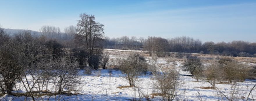 Trekkingplatz Wildes SH
