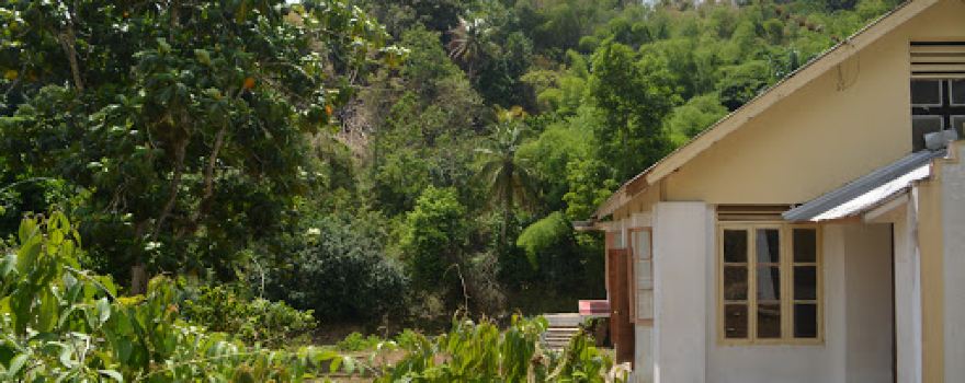 Newport District, St. Mary, Jamaica