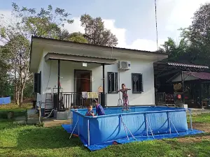 D'Manis Homestay & Camping