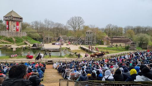 The Vikings