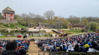 The Vikings