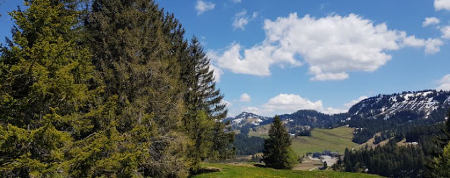 Kojenstein