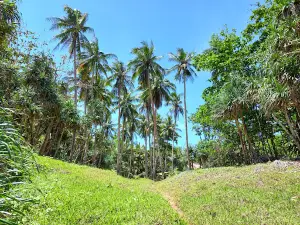 Pantai Nirun Elaar Ngursoin
