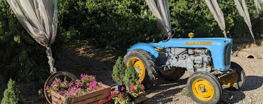 Cascina Pizzo frutteto ed eventi