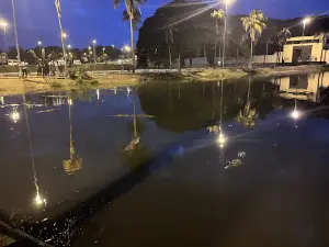 Lacs au crocodile