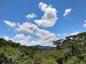 Falls resort 3