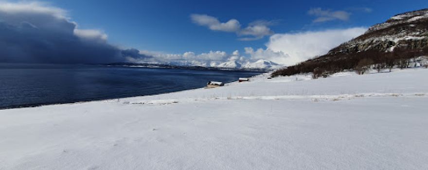 Dyrøya