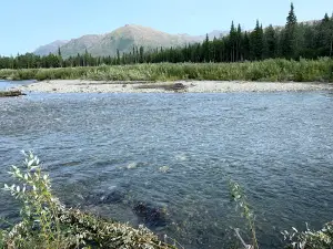 Koyukuk River
