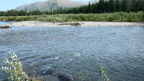 Koyukuk River