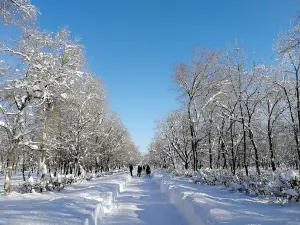 Gagarin Park