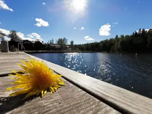Furuviks Havscamping