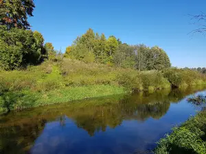 Vikingų kaimas