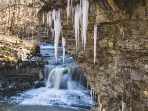 McCormick's Creek State Park