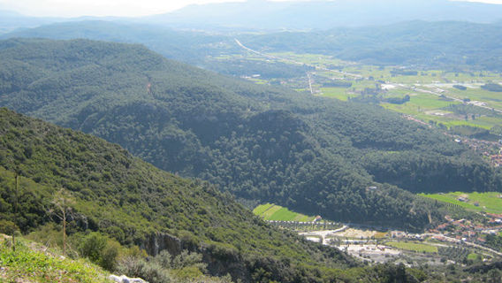 Ula