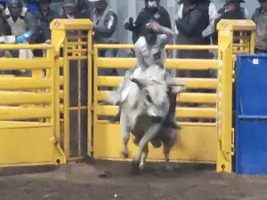 North Dakota Winter Show