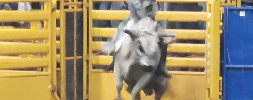 North Dakota Winter Show