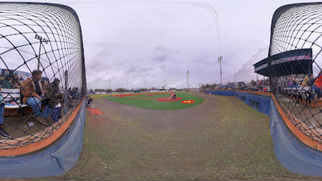 Gold Panner Baseball