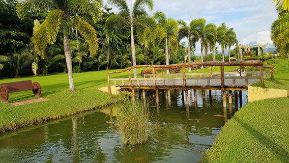 Bacolod