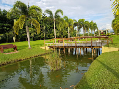ACROPOLIS GARDENS