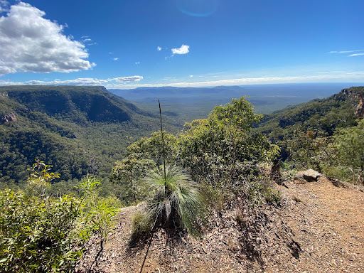 Horseshoe Lookout